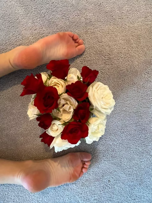 Like this post only if you would lick my soles