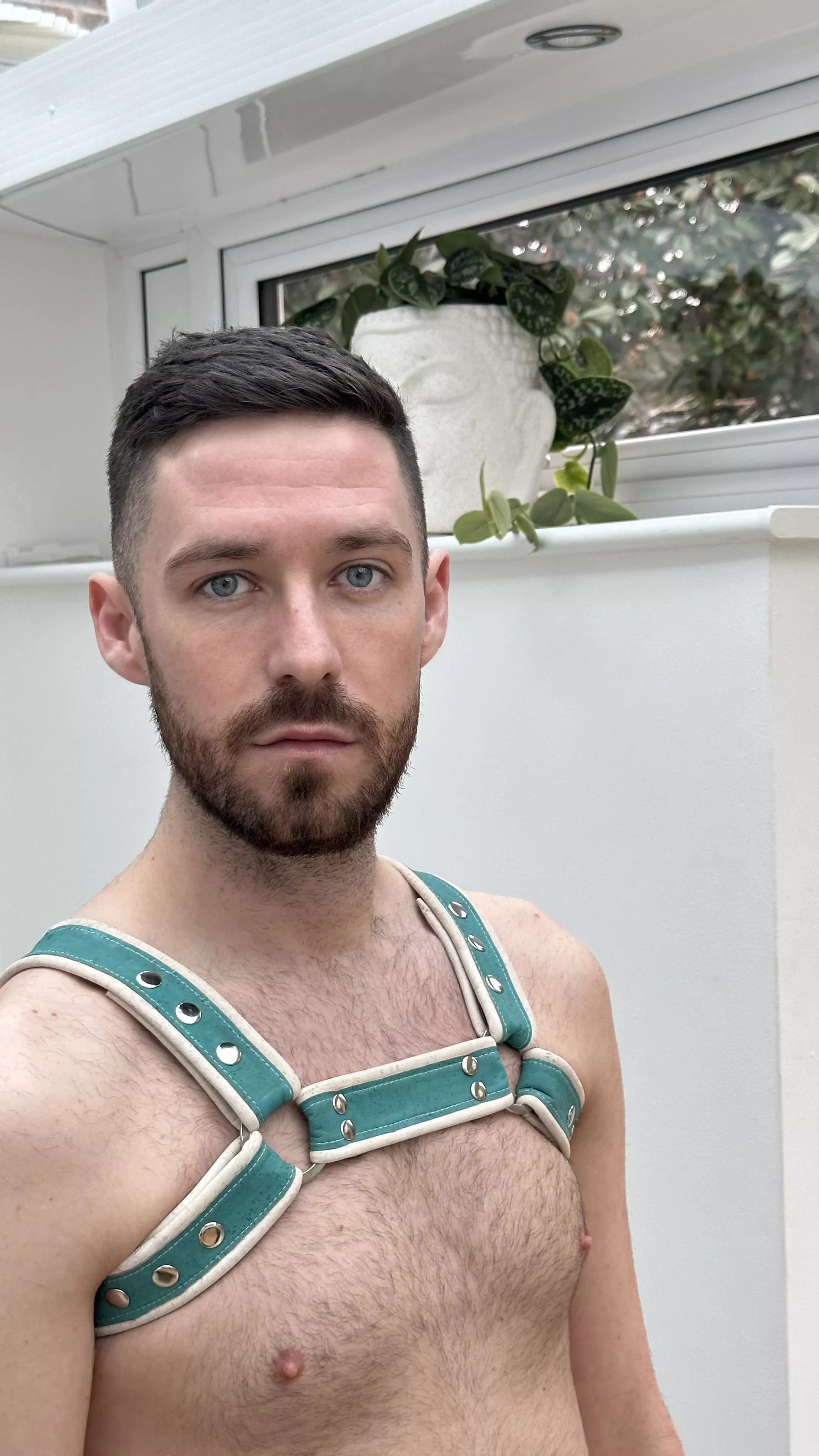 My grandma gave me her sewing machine and I made this harness. What do you guys think?