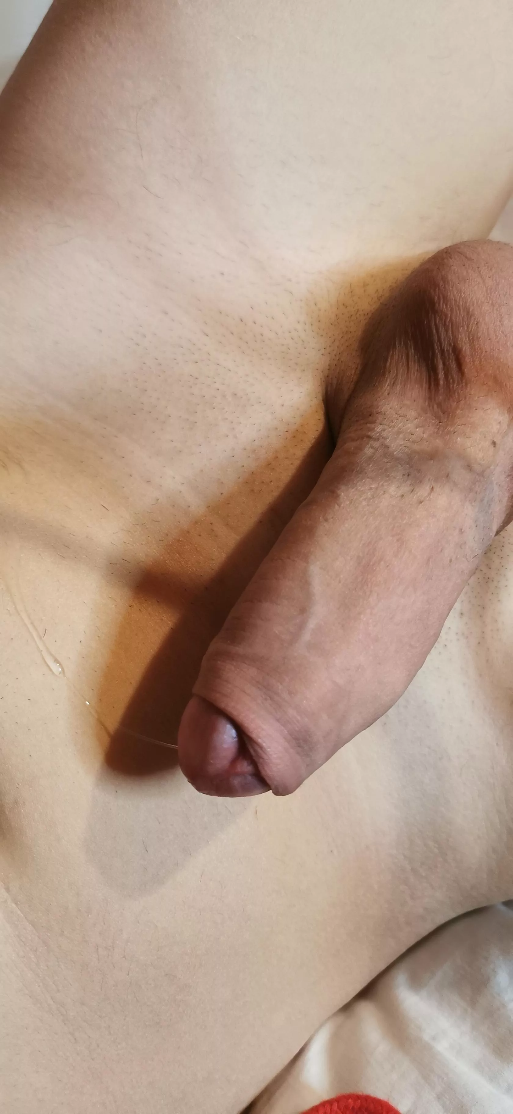 My juicy precum dick