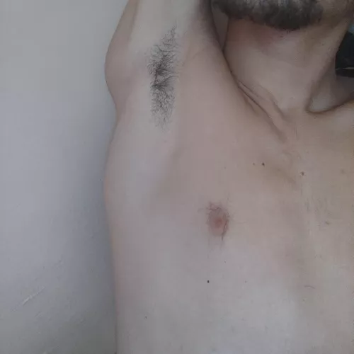 new here , should i let it grow ?