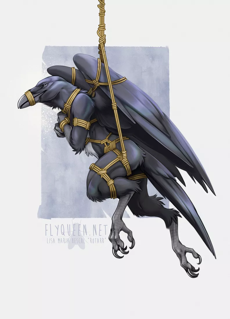 Shibari Raven [Rotarr]
