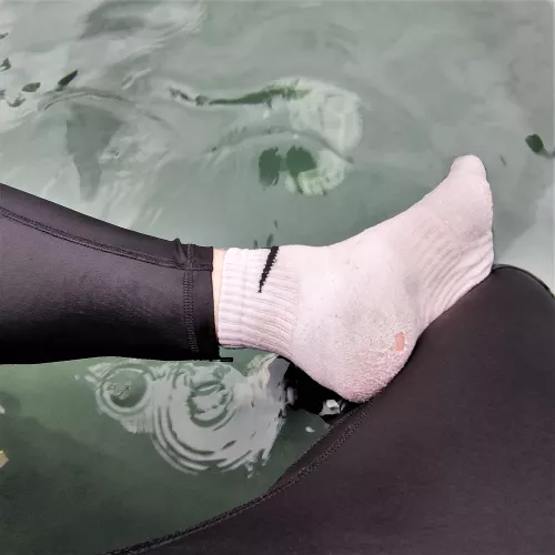 Socks gone swimming :3