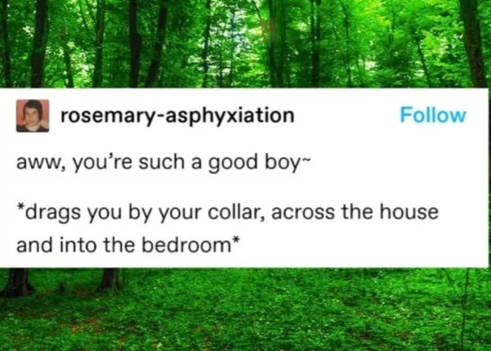 Such a good boy 🙂