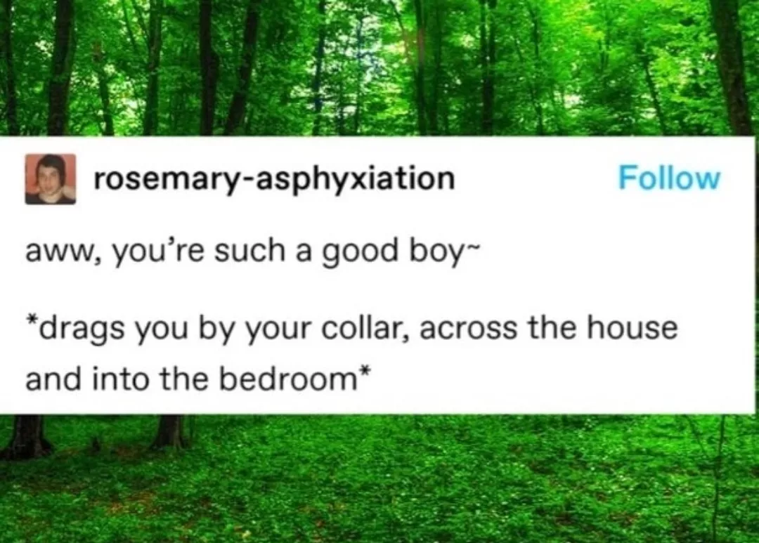 Such a good boy 🙂