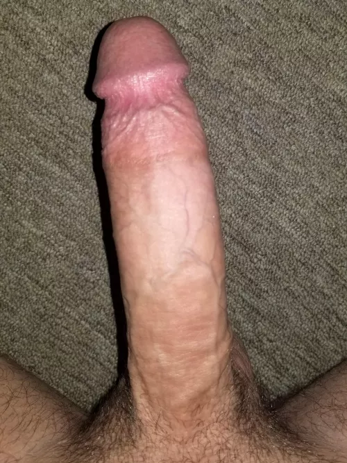 Veiny with a pink head
