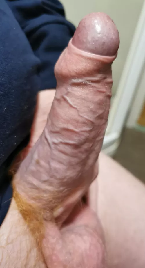 (50)maybe you like it?