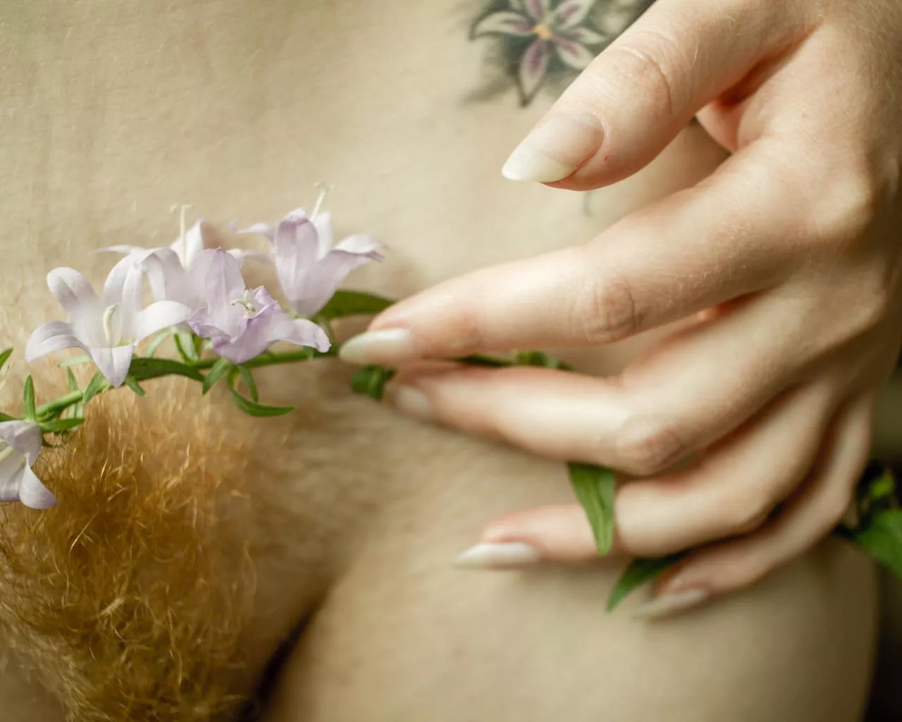 Beautiful firecrotch