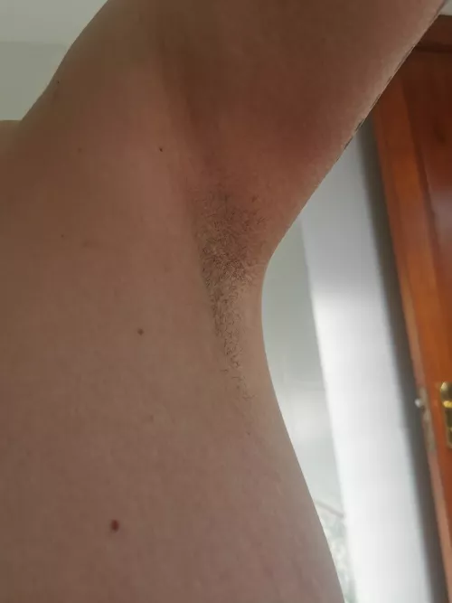 been a while since I showed off my pits 😌