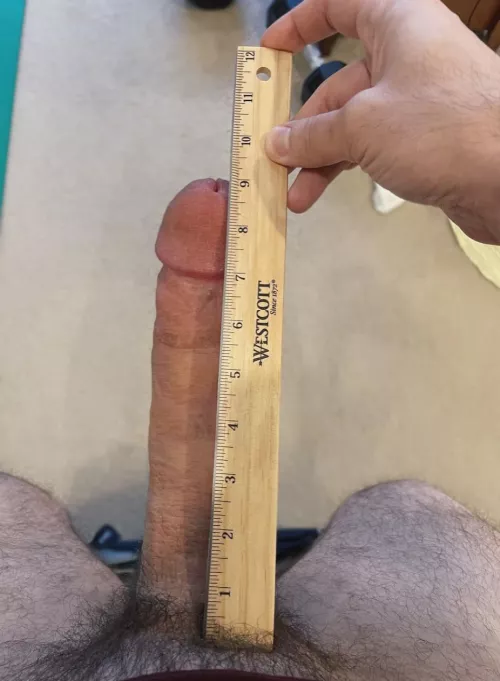 Bigger than most in the UK