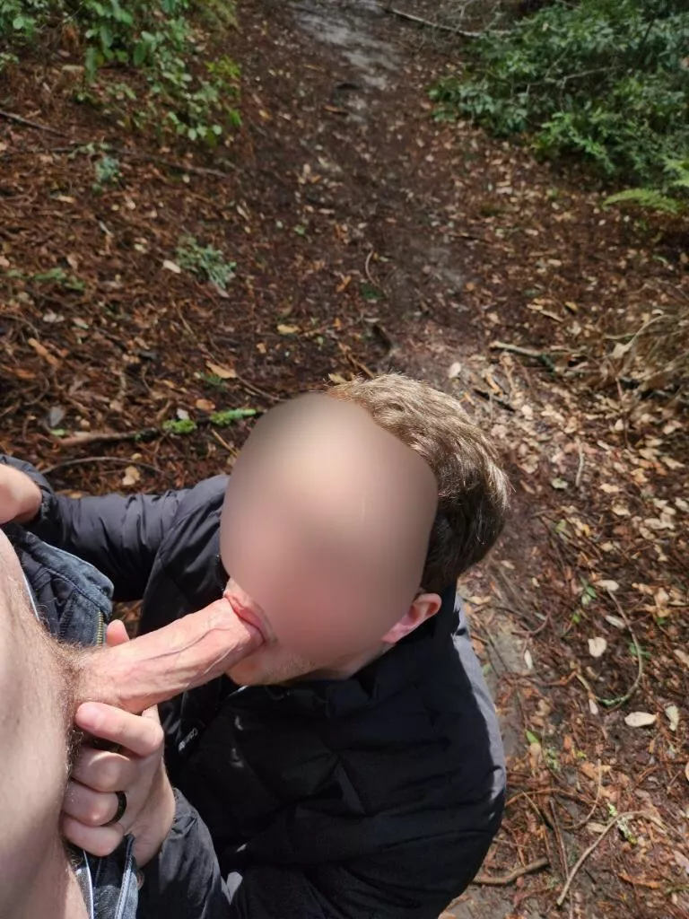 Blow Jobs in the park