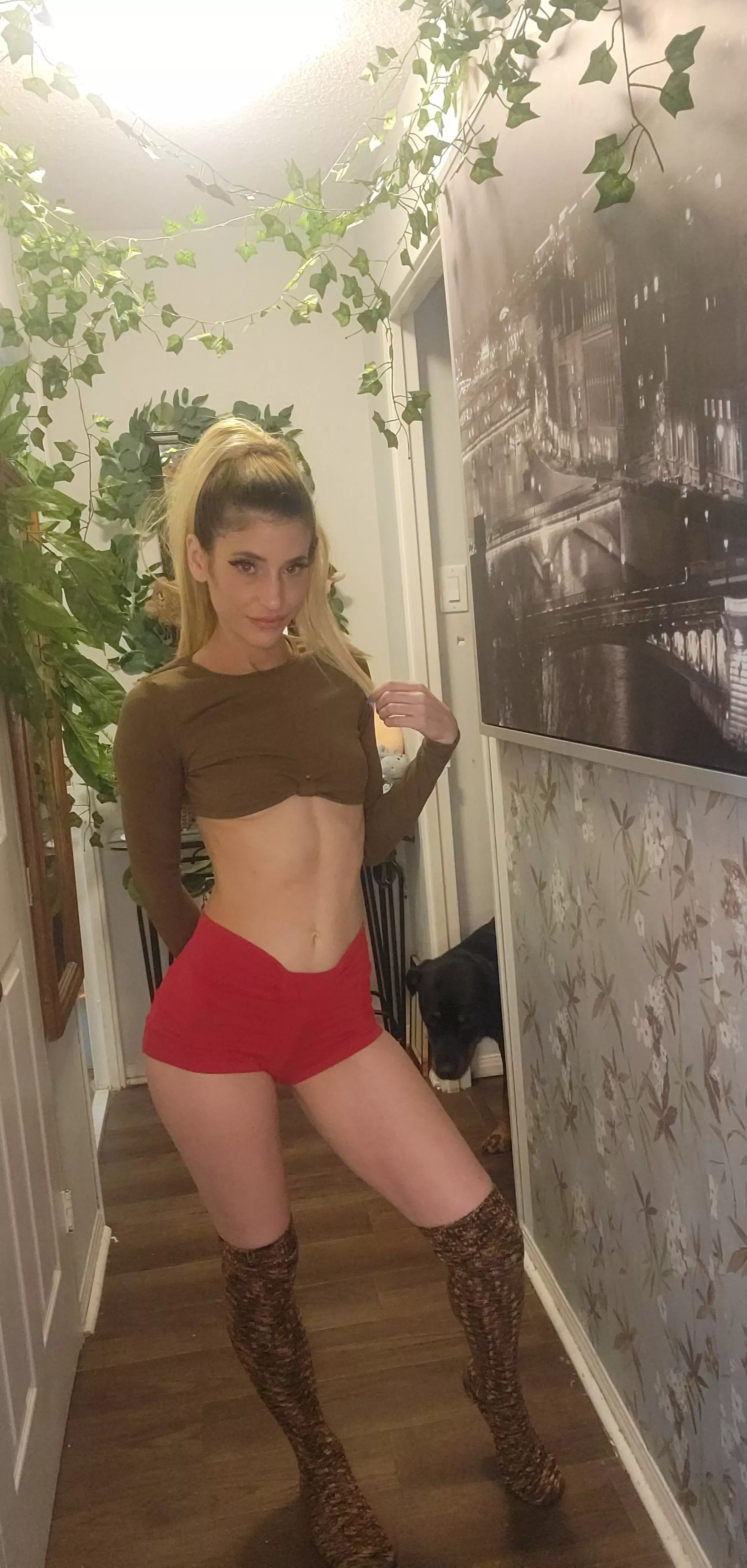 Crop top and high socks