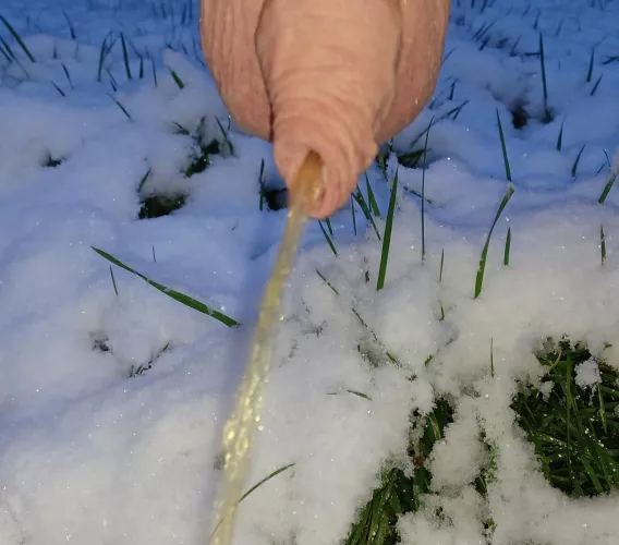 hanging out in the snow 😁