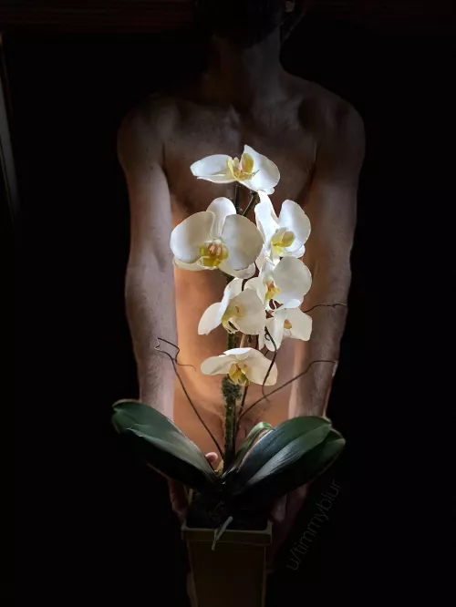 Happy International Women’s Day to all the sexy ladies of ONMWW. 😊