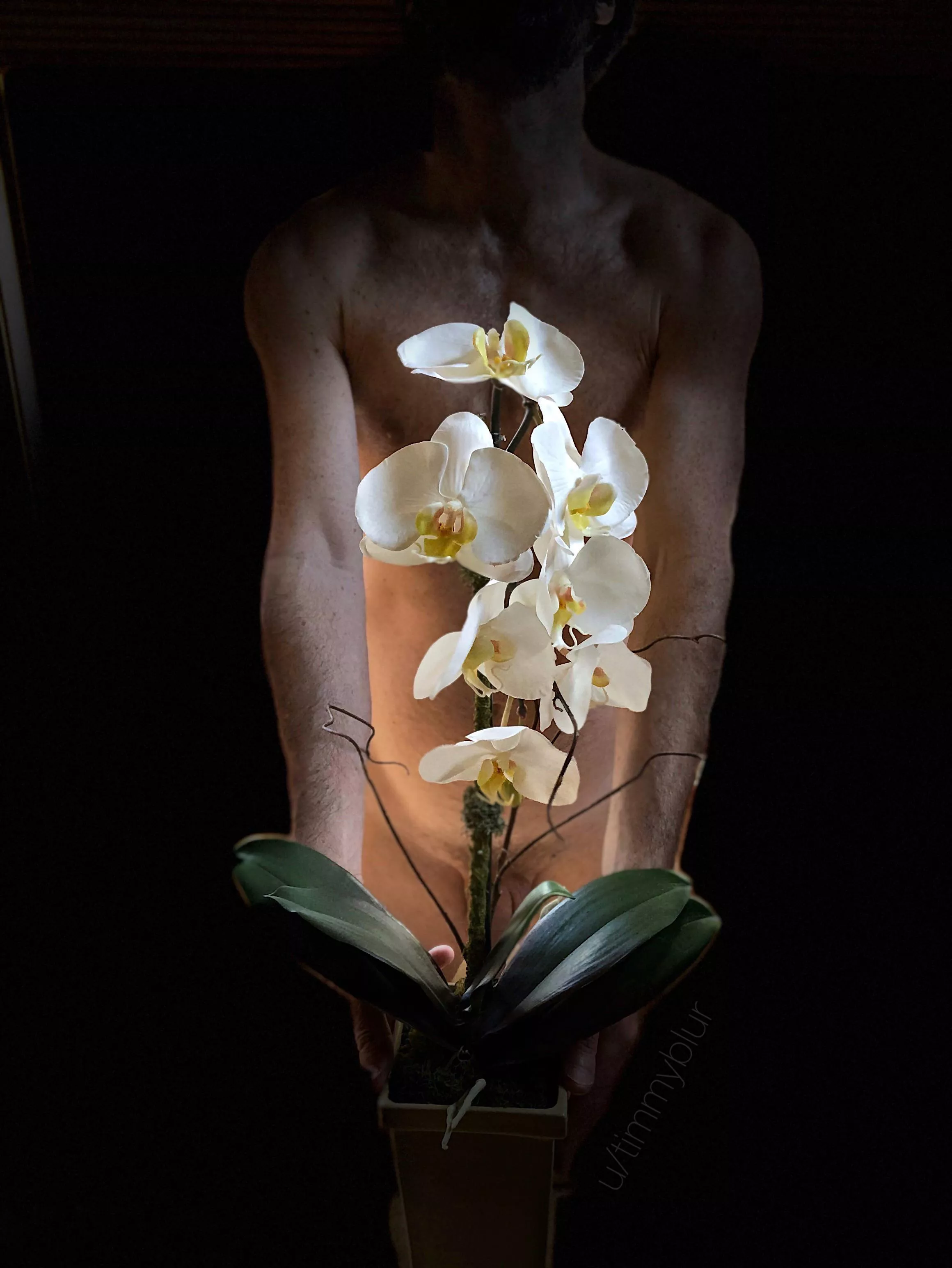 Happy International Women’s Day to all the sexy ladies of ONMWW. 😊