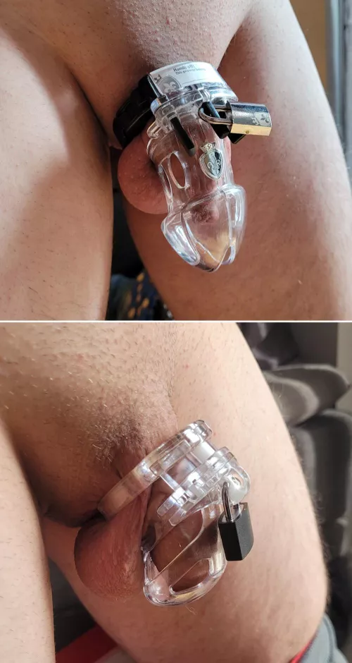 I think i did the right decision and changed to the smallest cage i could find