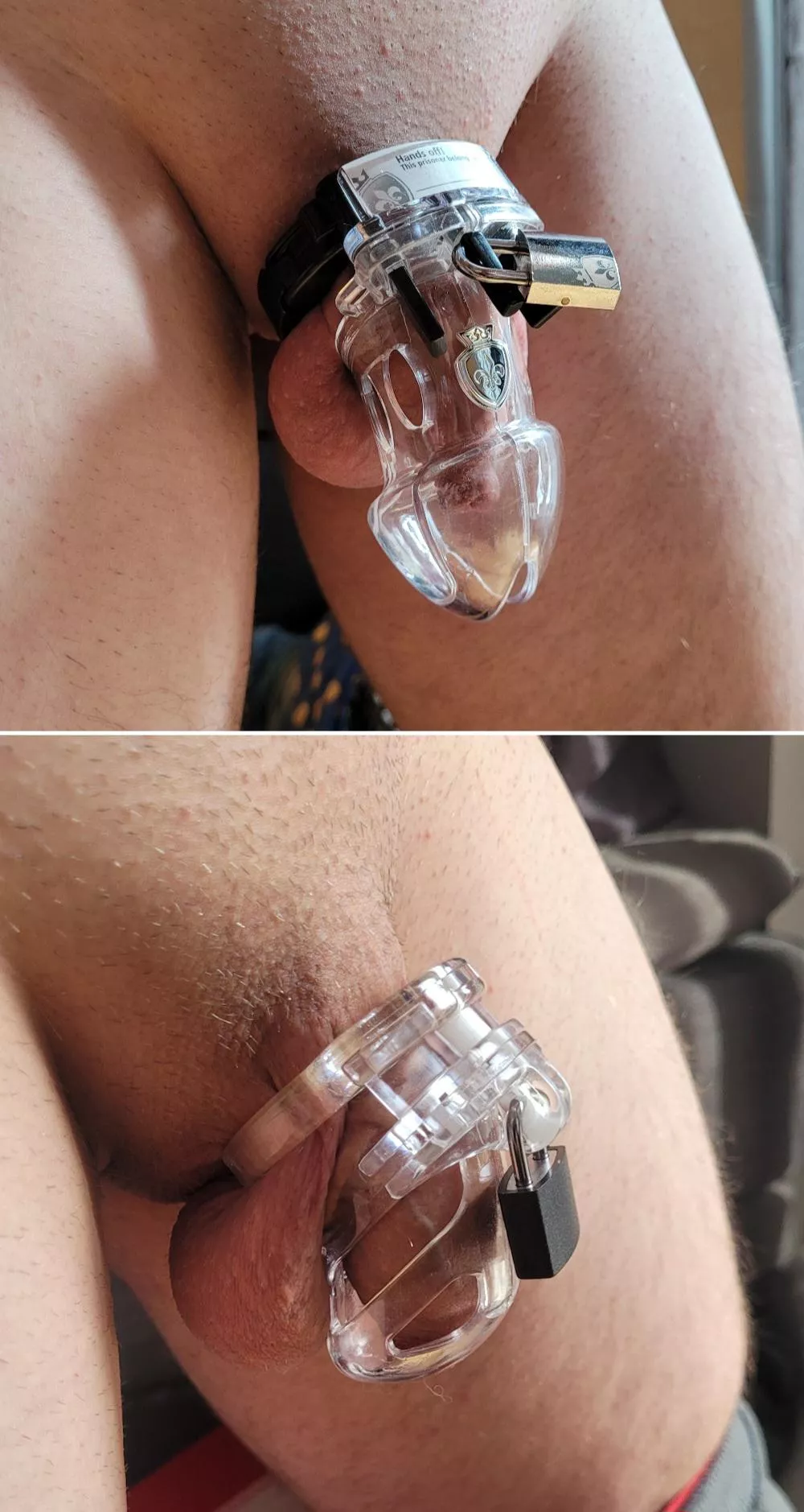 I think i did the right decision and changed to the smallest cage i could find