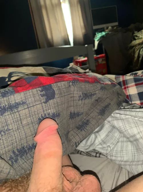 I wanna have my dick sucked