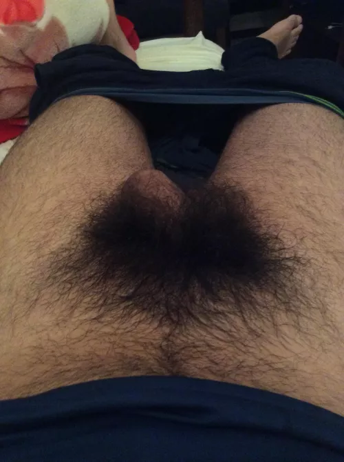 i want my soft dick to dissapear in the jungle