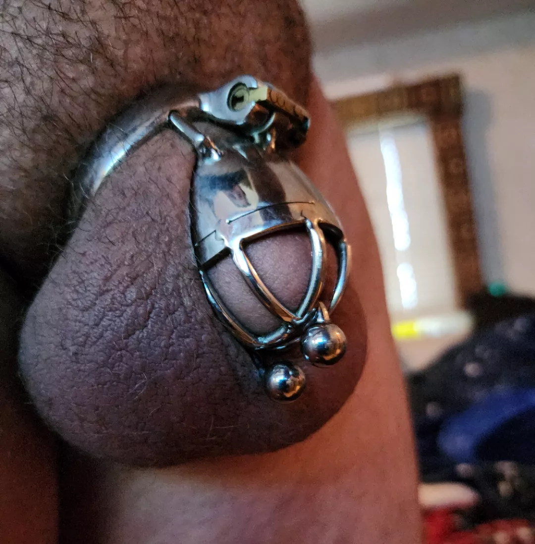 locked and pierced. had to use an old cage until I get a new ring.