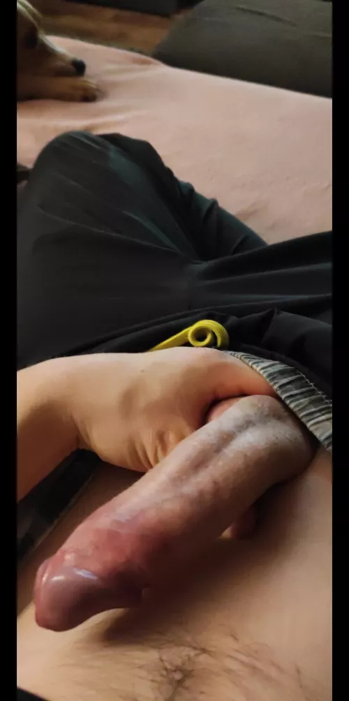 M Honest rating pls?