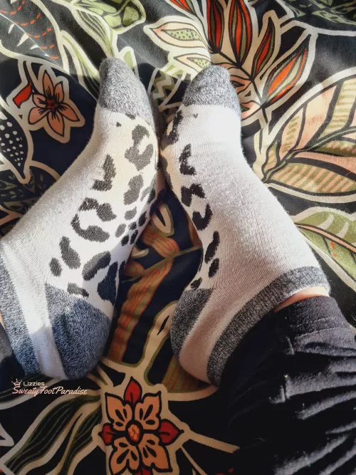 *Place face here* [F]