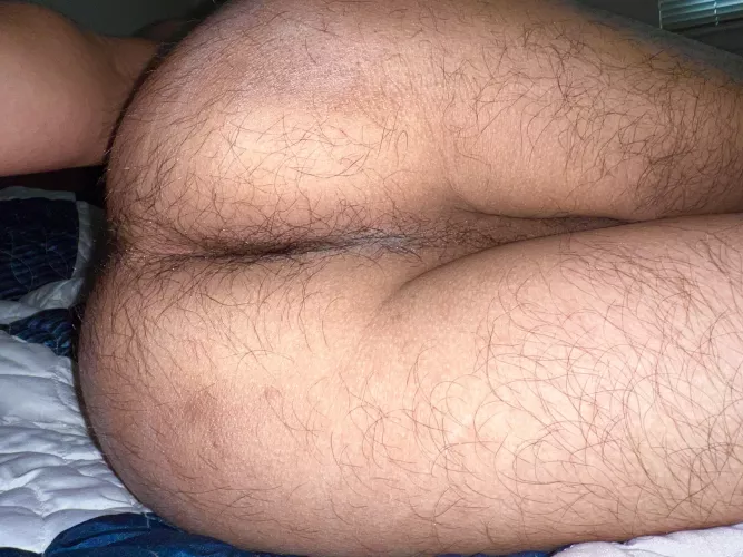 Rank, hairy, brown, cowboy ass😈🤠🇺🇸