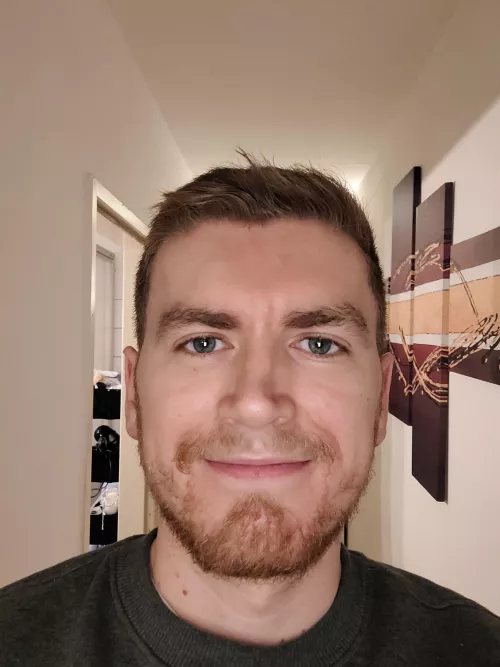 What do you guys think?