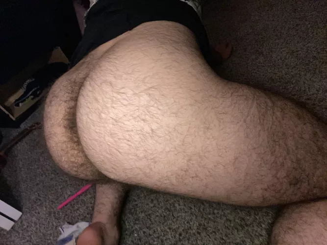 Who wants to rough house