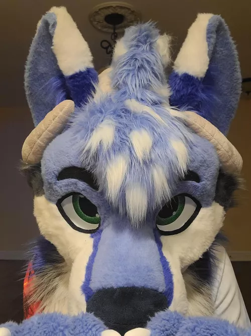 Windchime (My fursona) BAH!.. I can have cheesecake?