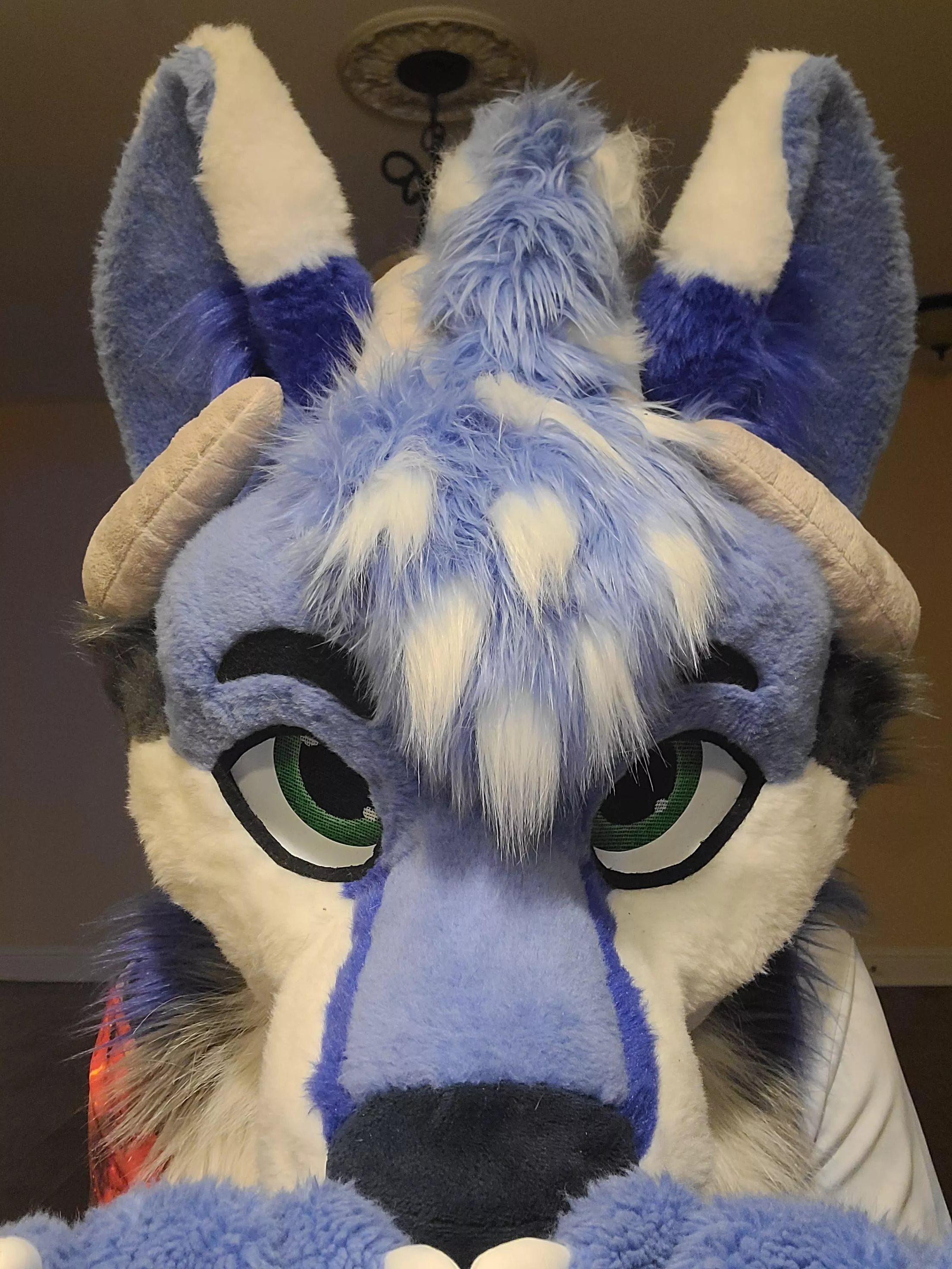 Windchime (My fursona) BAH!.. I can have cheesecake?