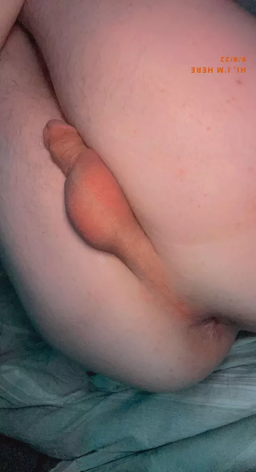 19 sissy boy Blakej22826