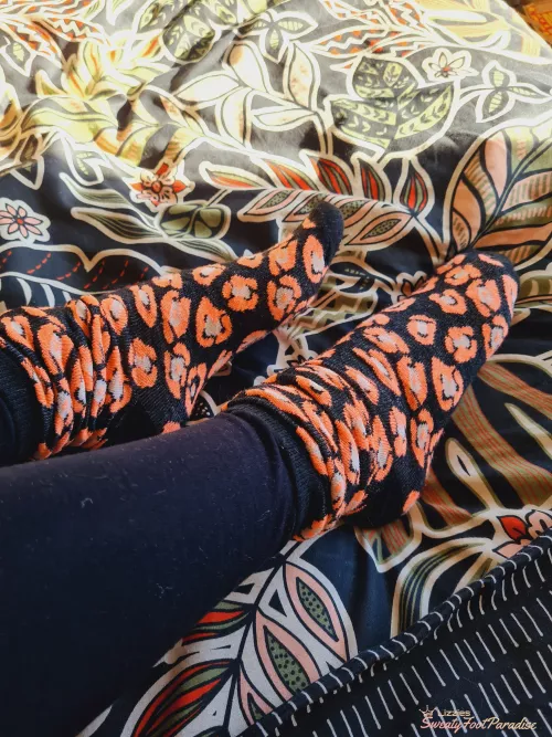 Are these worthy of being in your favourites draw? 😏 (Selling)