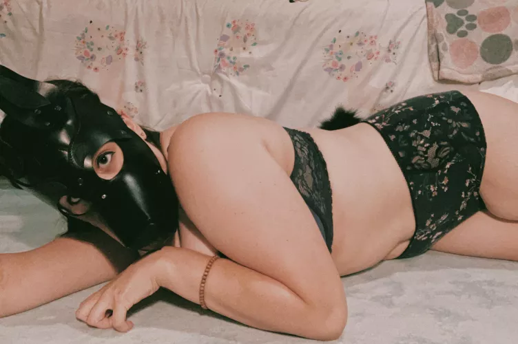 Are you a yap, woof, or borf type of puppy? I prefer ruff