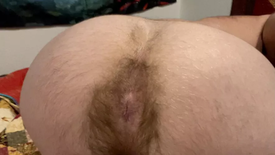 Could use a meat filling