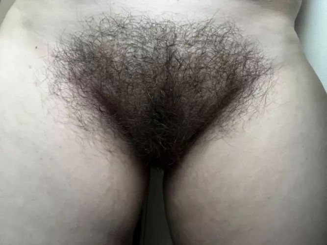 Fresh-from-the-shower bush ;P