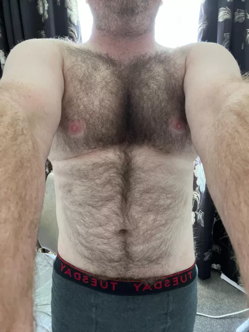 Gay hairy uncut dm sc