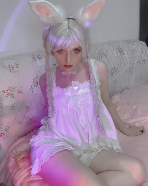 I will be your bunny