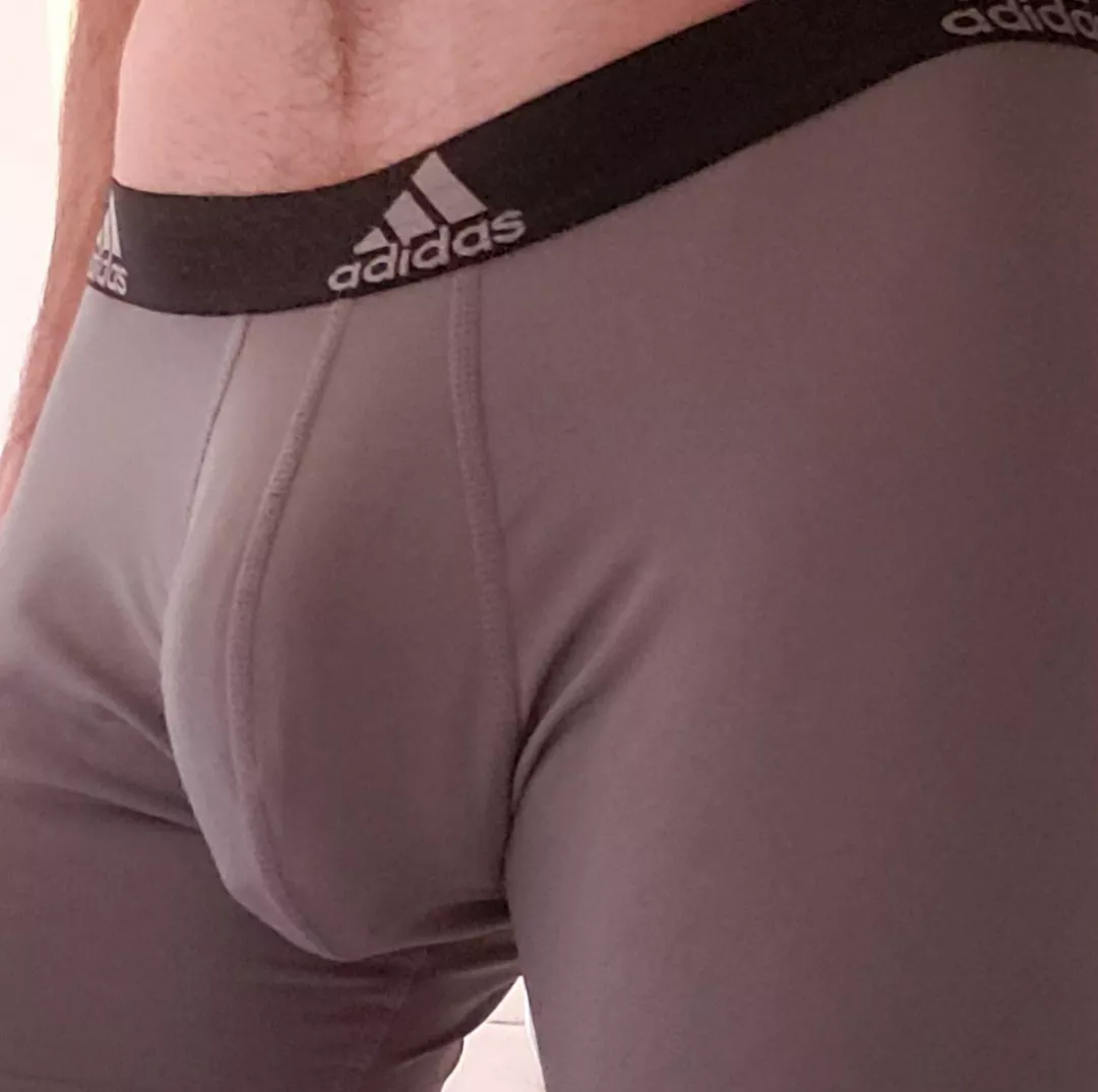 Just because grey sweatpants is almost over doesn't mean grey brief season is