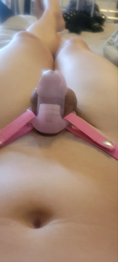 Locked and secured in place, as it should be 😊