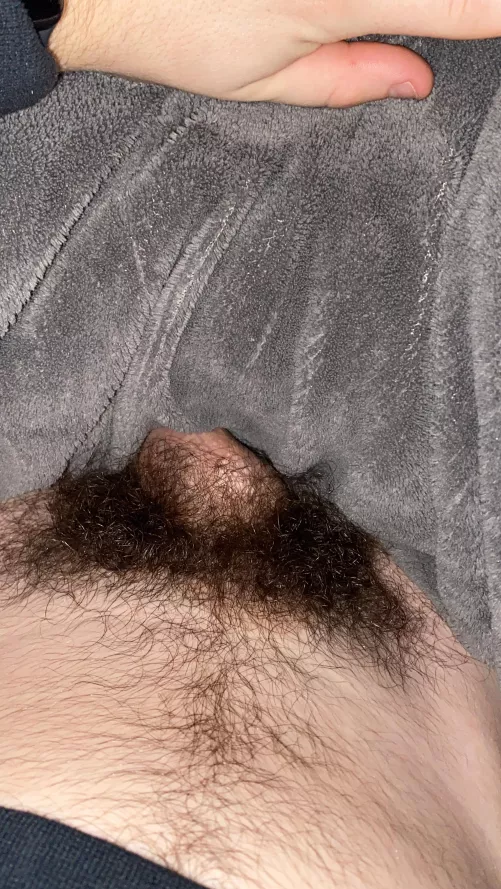 Men should keep their pubes (18)