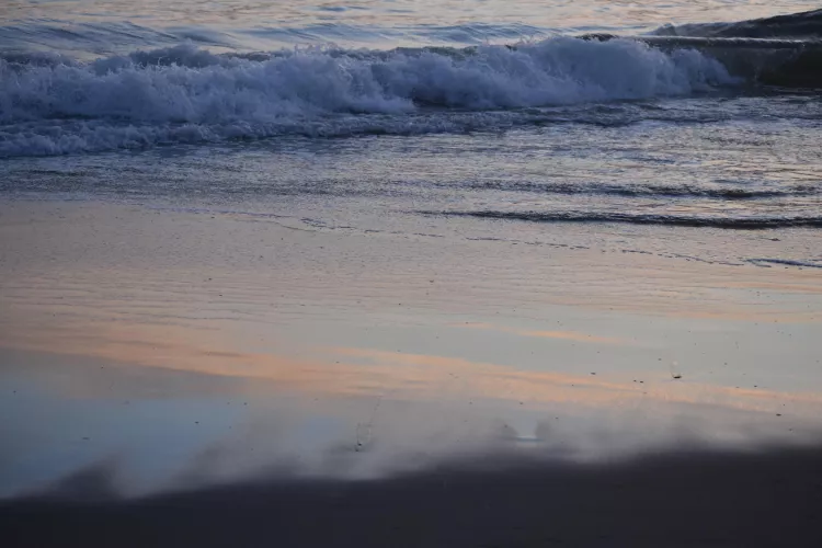 My favorite time of the day