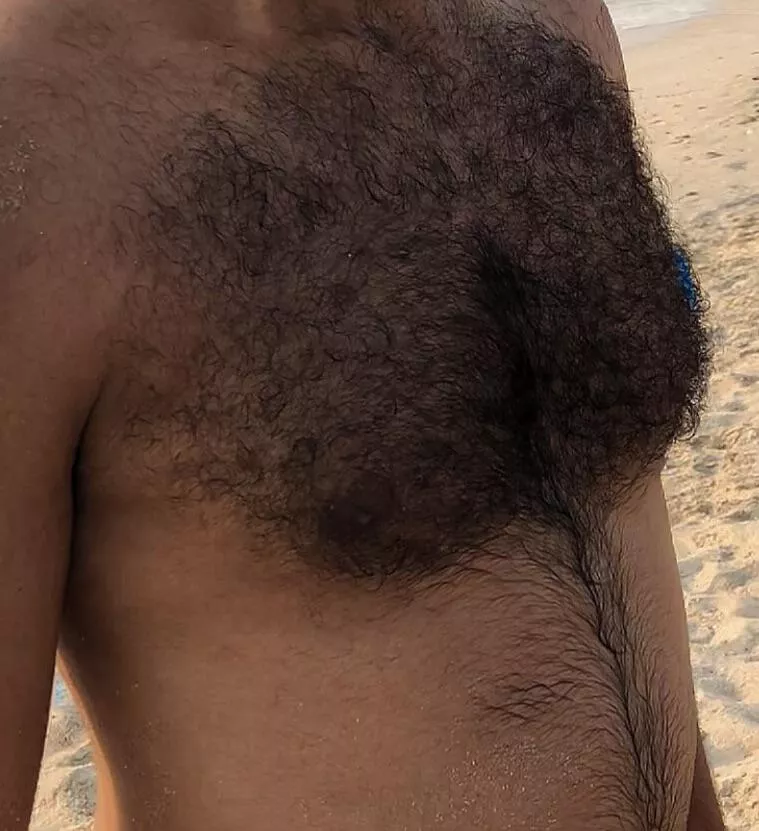 My hairy chest, HMU if you like
