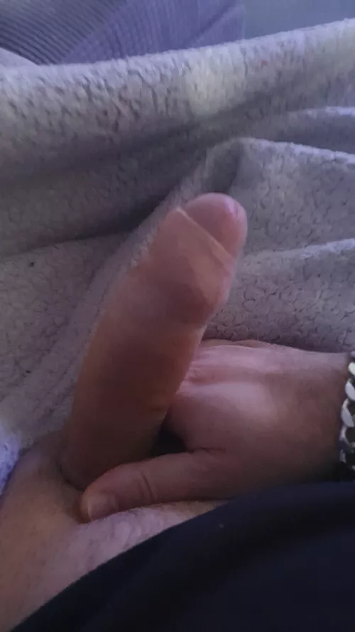 My morning cock is lonely