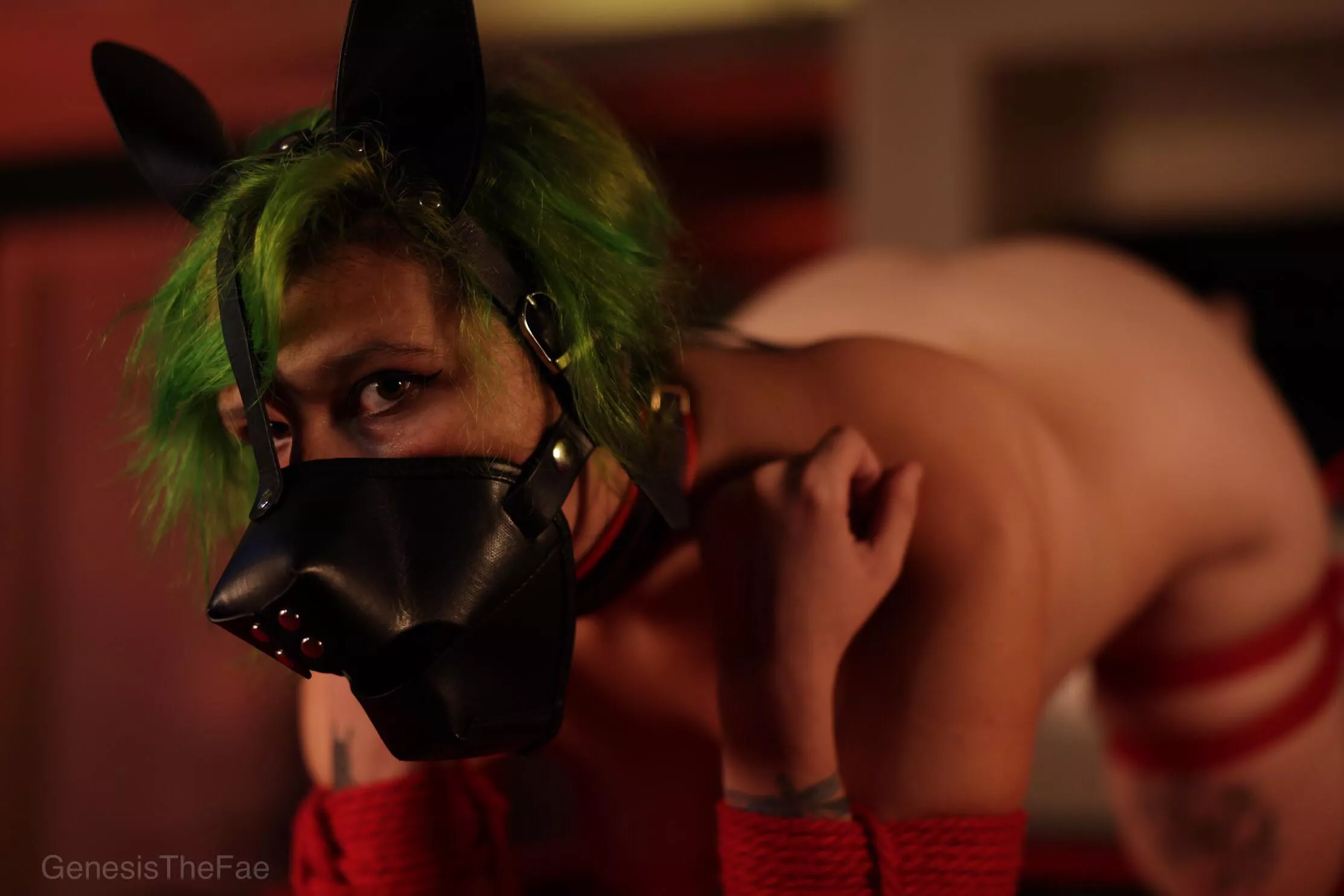 [NB] Want to see a shibari puppy get hooked?