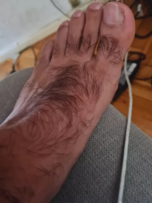 Rate my hairy feet