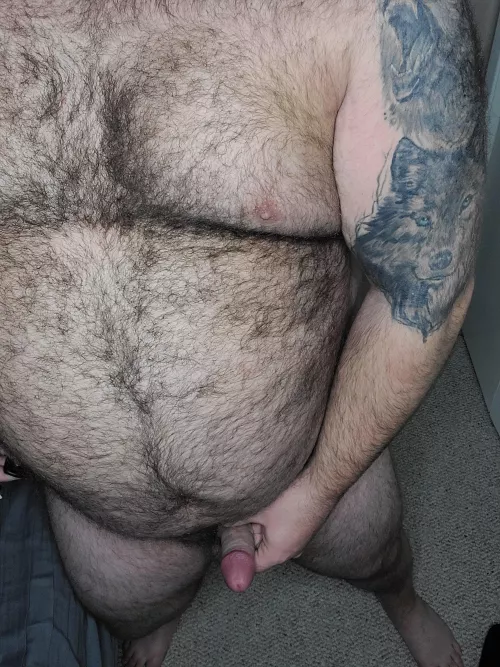 Thick, hairy, and just getting out of hibernation. can you help wake me up?