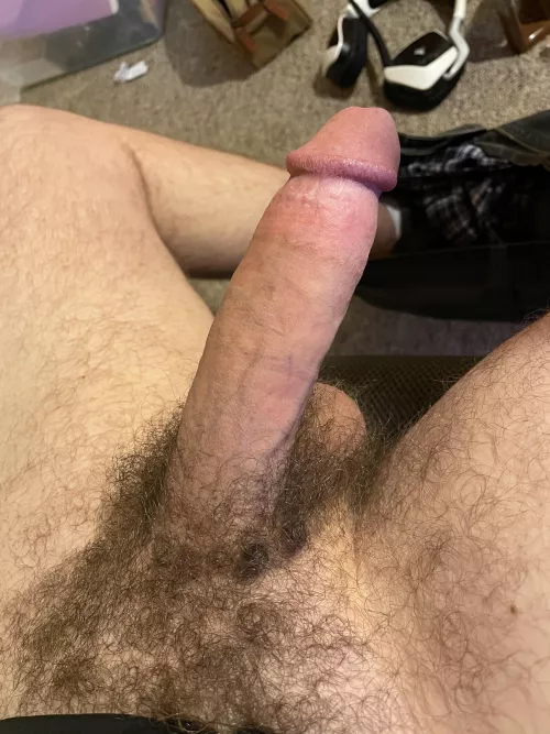 This beast woke me up this morning