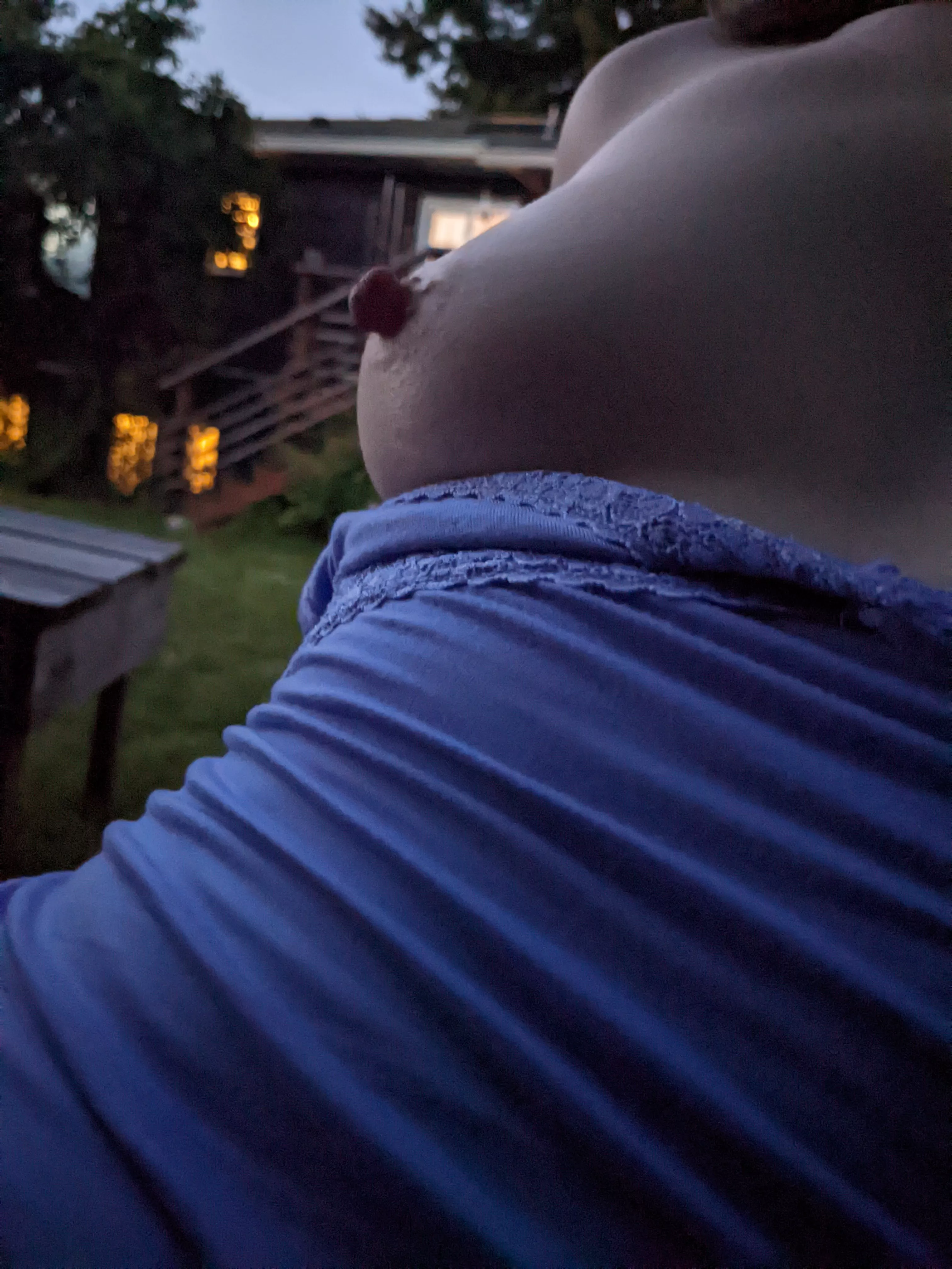 Tit in the moonlight