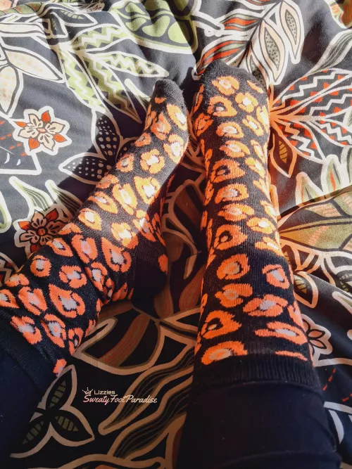 Tootsies in the sun 😏 [F]