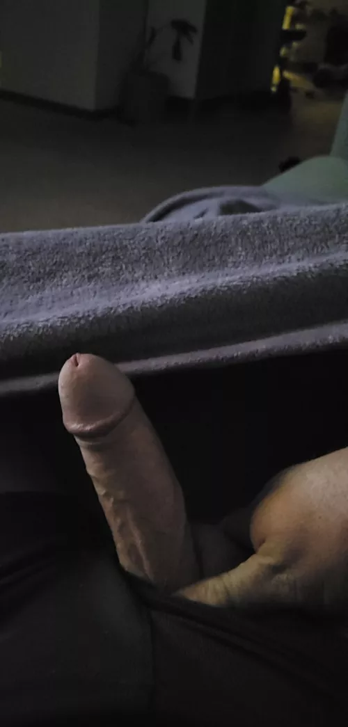 what do you guys think?